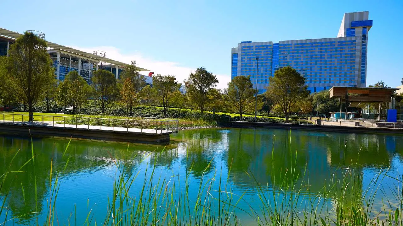 Lago rodeado de vegetación y edificios en Houston bajo un cielo despejado.