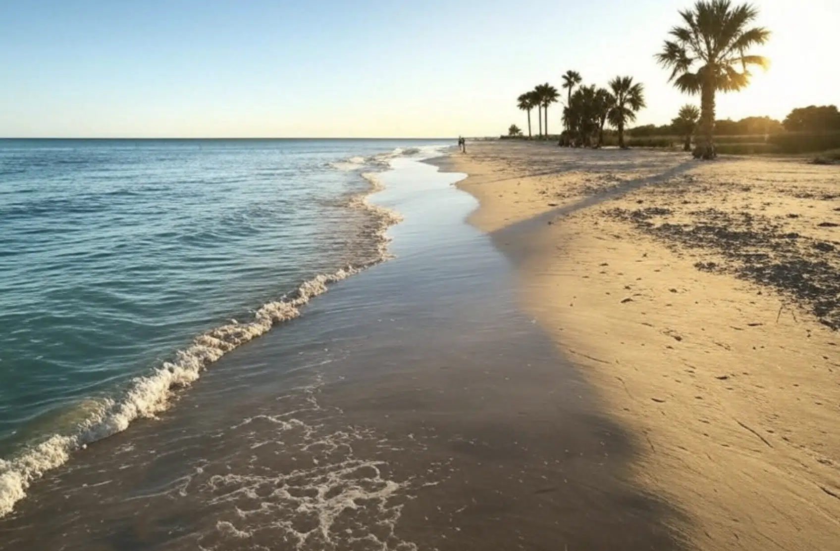 Vista de una playa con palmeras y agua tranquila al atardecer.