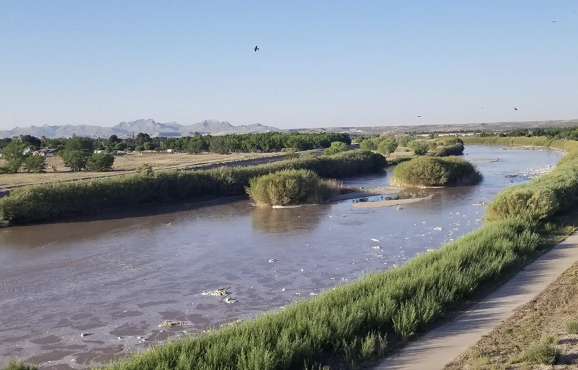 Vista de un río con vegetación en las orillas y montañas al fondo en un día claro.